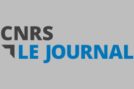 Voyage en synapse inconnue, ou presque !