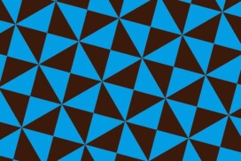 4e appel à projets de Recherche interdisciplinaire et exploratoire