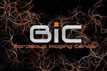 Upcoming training sessions at the BIC