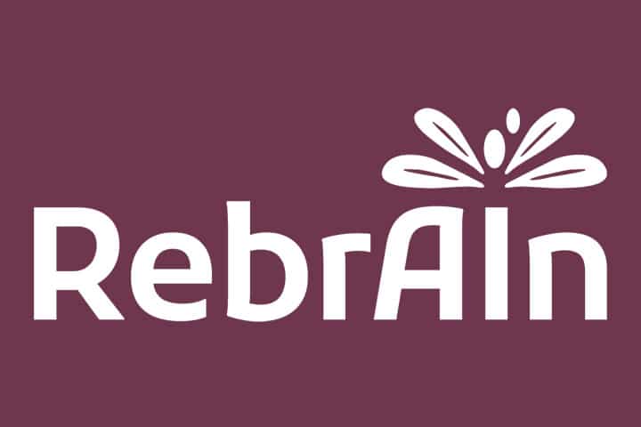 Une nouvelle start-up pour le ciblage chirurgical de la stimulation cérébrale profonde