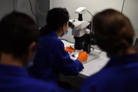 Surgery training for doctoral and M2 students