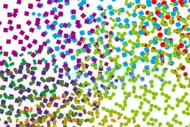 Monthly scientific meetings about large neural networks and behavior.