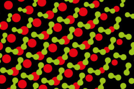 Lauréats de l’AAP « Travel Grants » 2026