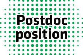 Postdoc position in Cellular Molecular Neuroscience – Synaptic plasticity mechanisms