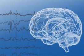 La lettre des neurosciences Automne / Hiver 2025