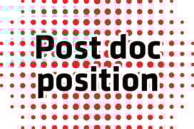 Postdoctoral Researcher – Neurobiology of Cocaine Addiction