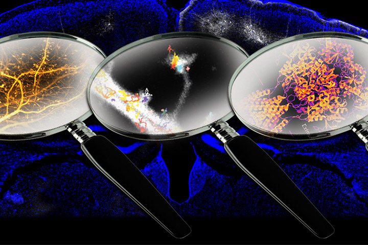 Symposium: Shedding Light on the Brain with Advanced Biophotonics