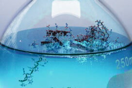 Chemistry Biology Interface Day 2025 – November 13th