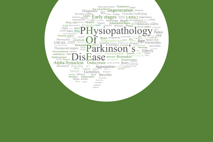 HOPE Meeting - Bordeaux, January 29-31, 2025