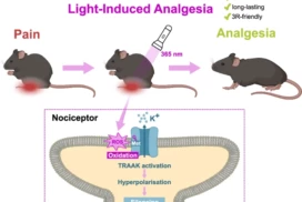 Eric Boué-Grabot and al in Nature Communications