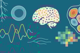 Cajal Course: Neuromics / 22 June – 10 July 2026