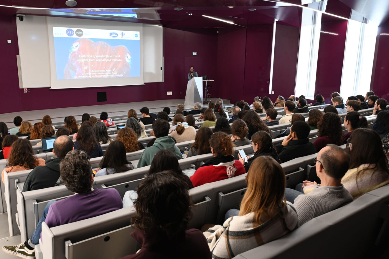 Synapse Day - Join the organizing committee!