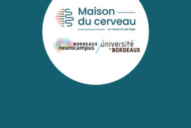 Lauréat.e.s des Bourses Maison du Cerveau – Jean Bernard Proux 2026