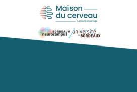 Bourses de stage de Master 2 « Jean-Bernard Proux » 2026