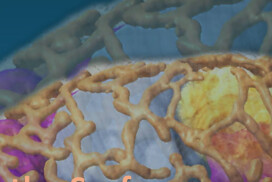 1st France VolumeEM Scientific Conference – 28-29 September 2026