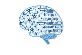 Jumeau neuromorphique : la réplique fonctionnelle d’un réseau de neurones connecté au vivant