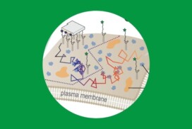 Corradi et al. in Nano Letters